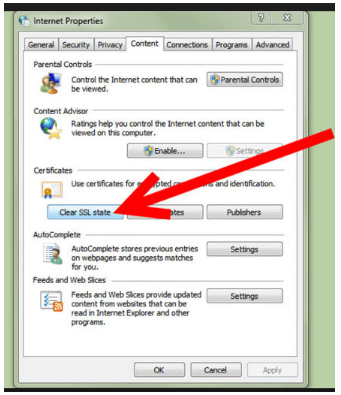 Delete the IE SSL state